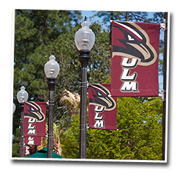 photo of Ƶ banners on campus